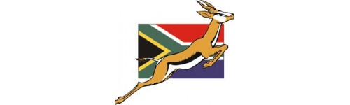 Springboks