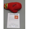 Clint Eastwood ' Million Dollar Baby' Hand Signed Boxing Glove + PSA DNA Coa