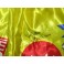 Manny Pacquiao Hand Signed Boxing Trunks + JSA COA