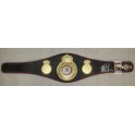 'IRON' MIKE TYSON  Hand Signed WBA Fullsize Belt   JSA  COA * Buy Genuine *