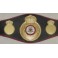 'IRON' MIKE TYSON  Hand Signed WBA Fullsize Belt   JSA  COA * Buy Genuine *
