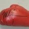 'IRON' MIKE TYSON Signed Boxing Glove + JSA COA