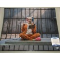 Margot Robbie Suicide Squad Harley Quinn  Hand Signed 16" x 20" Colour Photo2 + Beckett