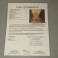 SALT Angelina Jolie + 4 Cast Hand Signed Fullsize Poster + JSA COA