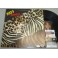 KISS Gene Simmons Hand Signed  'Animalize' Album Lp   + PSA COA   BUY GENUINE