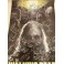 WALKING DEAD x 32 Main CAST Hand Signed Poster + Beckett COA BUY GENUINE