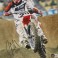 Chad Reed Hand Signed 11"x14"  Photo 4 + BECKETT COA  * Buy Genuine  Chad Reed *