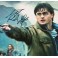 Harry Potter Daniel Radcliffe  Signed  8" x 10" Colour Photo D + JSA COA