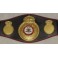 'IRON' MIKE TYSON  Hand Signed WBA Fullsize Belt   JSA  PSA  BAS COA * Buy Genuine *