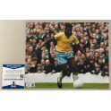 Pele Hand Signed 8'x10' Photo 2  + Beckett COA