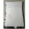 ARNOLD SCHWARZENEGGER Terminator Hand Signed 18"x22" Artwork / Poster + Beckett COA