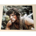 Sylvester Stallone Rambo   Hand Signed 11"x 14" Photo + JSA COA