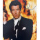 Pierce Brosnon 007  Hand Signed  8"x10" Photo + Beckett  COA