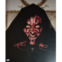 Star Wars  Ray Park "Darth Maul" Hand Signed 16" x 20" Color Photo + Beckett COA