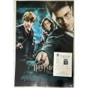 HARRY POTTER x 4 Radcliffe Watson Grint  Hand Signed 27"x40" Poster + Beckett COA BUY GENUINE