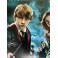 HARRY POTTER x 4 Radcliffe Watson Grint  Hand Signed 27"x40" Poster + Beckett COA BUY GENUINE