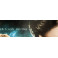 HARRY POTTER x 4 Radcliffe Watson Grint  Hand Signed 27"x40" Poster + Beckett COA BUY GENUINE