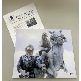 HARRISON FORD  Hand Signed 11"x14"  STAR WARS  Photo + BECKETT COA *BUY GENUINE*