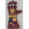 Charles Leclerc Hand Signed Ferrari Special Edition Racing Glove + Exact Photo Proof