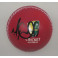 Michael Clarke Hand Signed Foam Cricket Ball