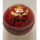 Shane Warne Hand Signed Cricket Ball + JSA COA