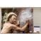 Tom Hanks Castaway Hand Signed 11" x 14" Photo  + PSA DNA COA