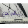 PEARL JAM  Eddie Vedder Hand Signed LP VS + PSA DNA COA *HUGE SIGNATURE*