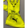 Lewis Hamilton  Hand Signed Racing Gloves +  PHOTO PROOF