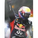 Mark Webber Hand Signed HUGE 20"x30" Quality Photo 5