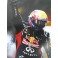 Mark Webber Hand Signed HUGE 20"x30" Quality Photo 5