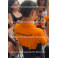 LANDO NORRIS Hand Signed Racing Gloves +  PHOTO PROOF