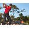TIGER WOODS Hand Signed 8" x 12" Color Photo + PSA/DNA Coa