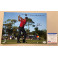 TIGER WOODS Hand Signed 8" x 12" Color Photo + PSA/DNA Coa