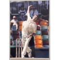 Shane Warne Hand Signed 8" x 10" Colour Photo