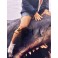 Steven Spielberg   Hand Signed 8"x12"  JAWS  Photo 2 + BECKETT COA *BUY GENUINE*