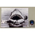 Steven Spielberg   Hand Signed 8"x12"  JAWS  Photo  + BECKETT COA *BUY GENUINE*