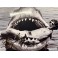 Steven Spielberg   Hand Signed 8"x12"  JAWS  Photo  + BECKETT COA *BUY GENUINE*