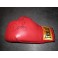 Don King 'Infamous Promoter' Hand Signed Glove + COA