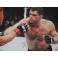 Forrest Griffin Hand Signed 11" x 14" Photo2 + PSA/DNA