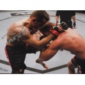 Rich Franklin Hand Signed 12" x 18" Colour Photo1 + PSA/DNA