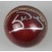 Steve Waugh Hand Signed Cricket Ball