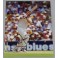 Matthew Hayden 2  Hand Signed Colour Photo