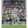 Matthew Hayden 3  Hand Signed Colour Photo