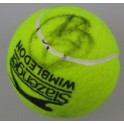 Novak Djokovic Hand Signed Tennis Ball + Proof 2