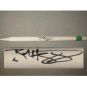 BRAD HOGG Hand Signed Cricket Stump