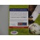 Ronaldo Hand Signed Brasil 11'x14' Photo + PSA/DNA Coa