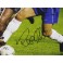 Ronaldo Hand Signed Brasil 11'x14' Photo + PSA/DNA Coa