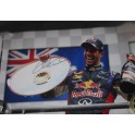 Daniel Ricciardo Hand Signed HUGE Poster Size 20" x 30"  Lab Quality  Photo 3 *MINOR DAMAGE*