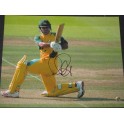 Ricky Ponting Hand Signed Australia 8'x12' Photo
