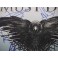 Game Of Thrones  7 x Cast Signed 12"x18" Photo + JSA COA